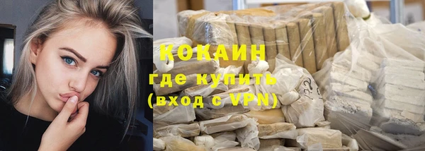 мет Няндома