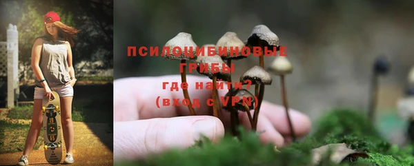 герыч Алексин