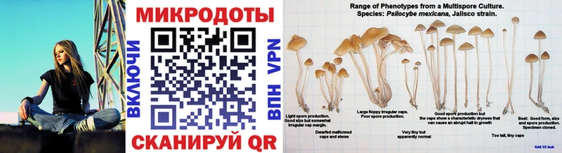 Галлюциногенные грибы MAGIC MUSHROOMS  Усолье-Сибирское 
